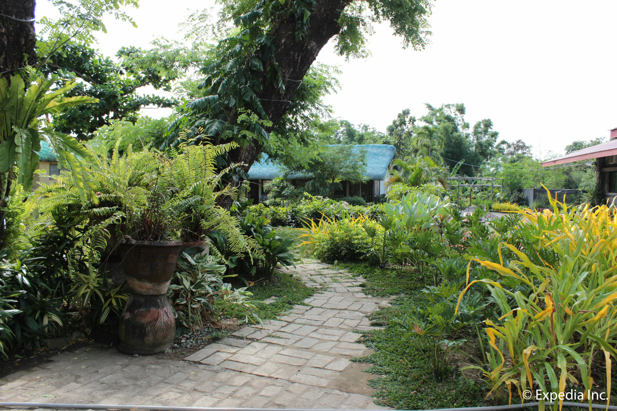 Reddoorz Plus Near Vigan Convention Center Kültér fotó