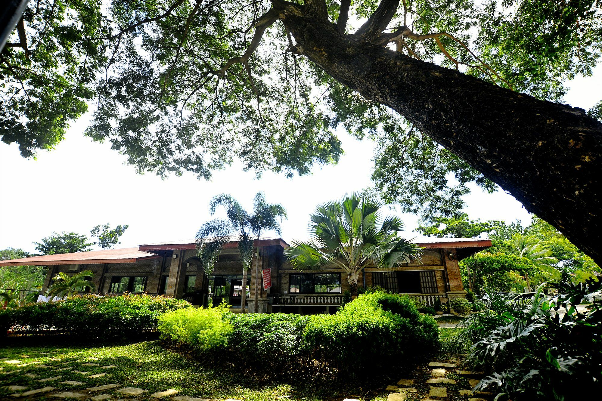 Reddoorz Plus Near Vigan Convention Center Kültér fotó