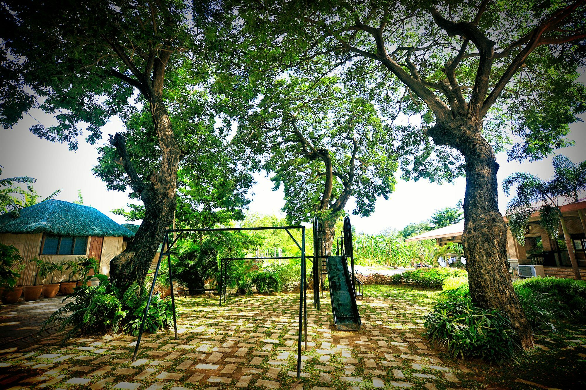 Reddoorz Plus Near Vigan Convention Center Kültér fotó